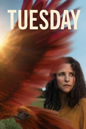 Tuesday watch Tuesday