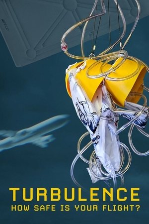 watch Turbulence: How Safe Is Your Flight?
