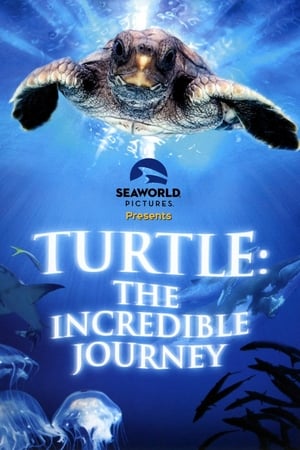 Turtle: The Incredible Journey watch Turtle: The Incredible Journey