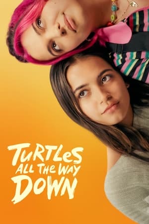 Turtles All the Way Down watch Turtles All the Way Down