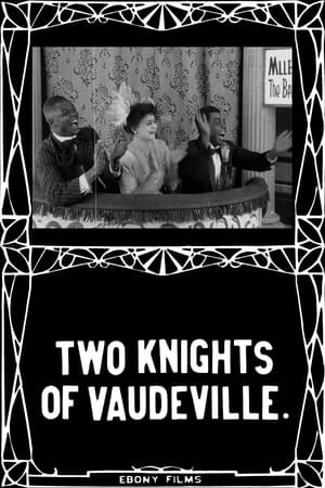 watch Two Knights of Vaudeville