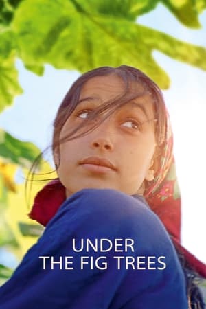 watch Under the Fig Trees