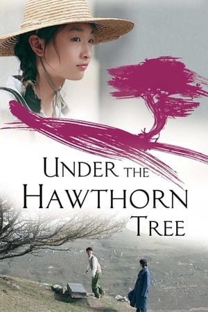 Under the Hawthorn Tree watch Under the Hawthorn Tree