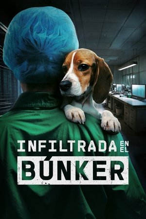 watch Undercover. Inside the Bunker