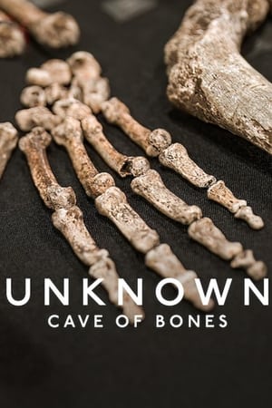 Unknown: Cave of Bones watch Unknown: Cave of Bones