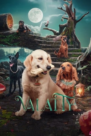 Valatty watch Valatty