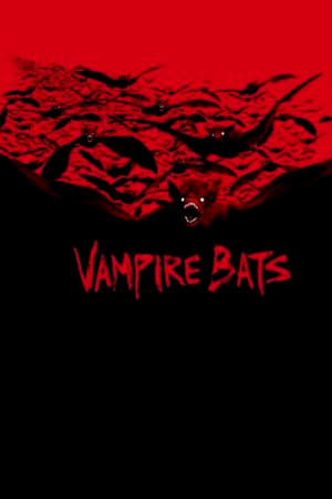 Vampire Bats watch Vampire Bats