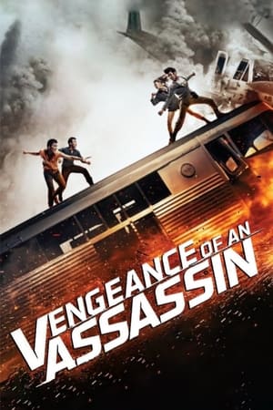 Vengeance of an Assassin watch Vengeance of an Assassin