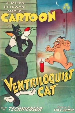 Ventriloquist Cat watch Ventriloquist Cat