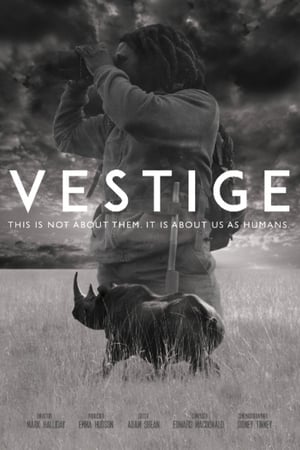 Vestige watch Vestige