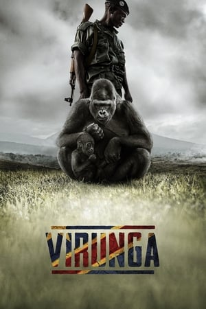 Virunga watch Virunga