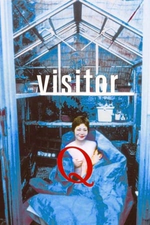 watch Visitor Q