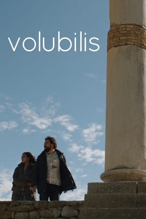 Volubilis watch Volubilis