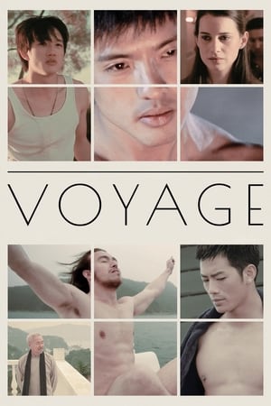 Voyage watch Voyage