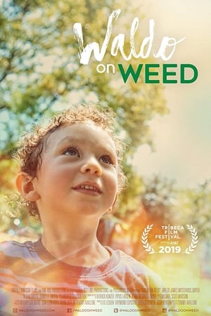 watch Waldo on Weed