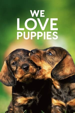 watch We Love Puppies