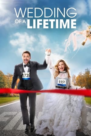 watch Wedding of a Lifetime