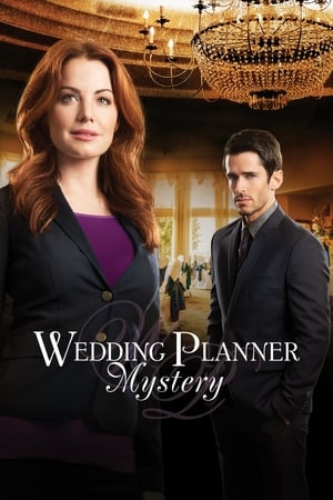 watch Wedding Planner Mystery