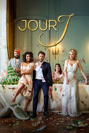 watch Wedding Unplanned
