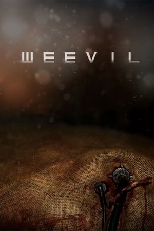 Weevil watch Weevil