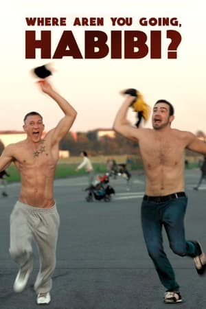 Where Are You Going, Habibi? watch Where Are You Going, Habibi?