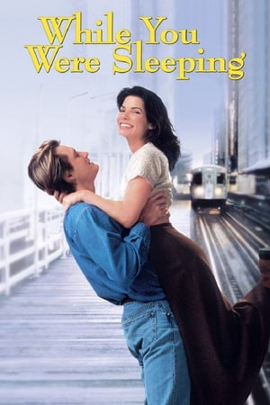 While You Were Sleeping watch While You Were Sleeping