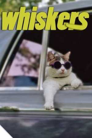 Whiskers watch Whiskers