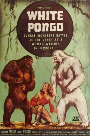 White Pongo watch White Pongo