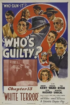watch Who's Guilty?