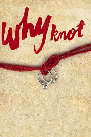 Why Knot watch Why Knot