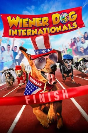 Wiener Dog Internationals watch Wiener Dog Internationals