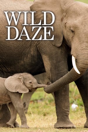 Wild Daze watch Wild Daze