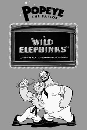 watch Wild Elephinks