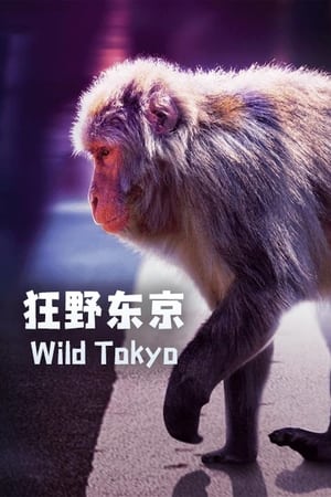 Wild Tokyo watch Wild Tokyo