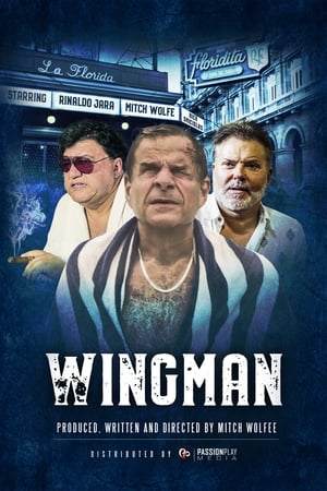 WingMan watch WingMan