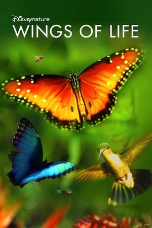Wings of Life watch Wings of Life