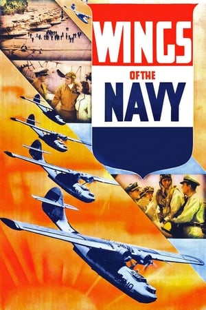 Wings of the Navy watch Wings of the Navy