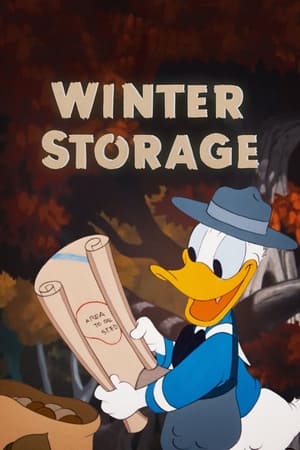 Winter Storage watch Winter Storage