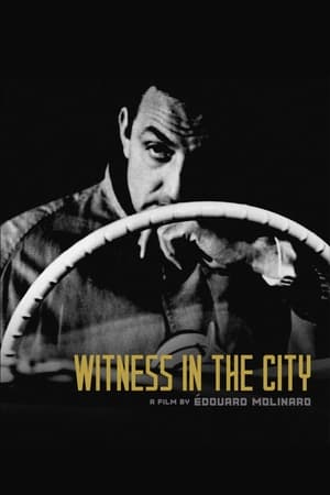 Witness in the City watch Witness in the City