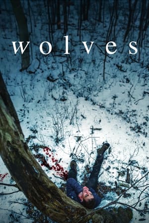 Wolves watch Wolves