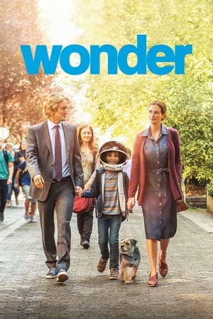 Wonder watch Wonder