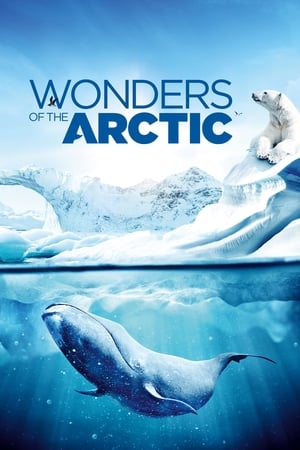 Wonders of the Arctic watch Wonders of the Arctic