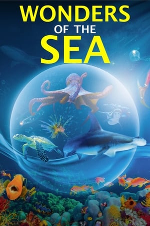 Wonders of the Sea 3D watch Wonders of the Sea 3D