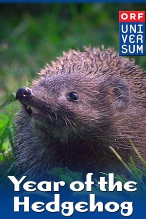 Year of the Hedgehog watch Year of the Hedgehog