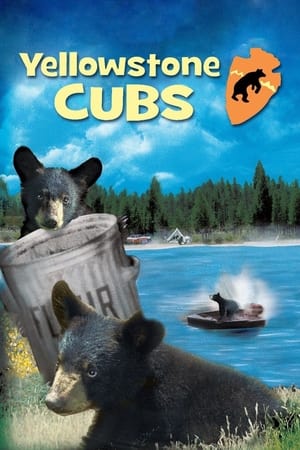 Yellowstone Cubs watch Yellowstone Cubs