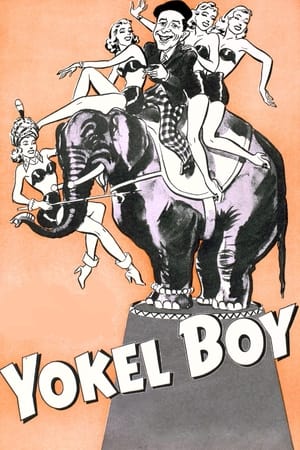 Yokel Boy watch Yokel Boy