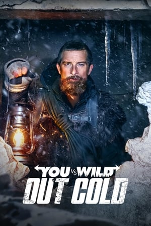 You vs. Wild: Out Cold watch You vs. Wild: Out Cold