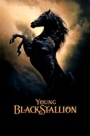 Young Black Stallion watch Young Black Stallion