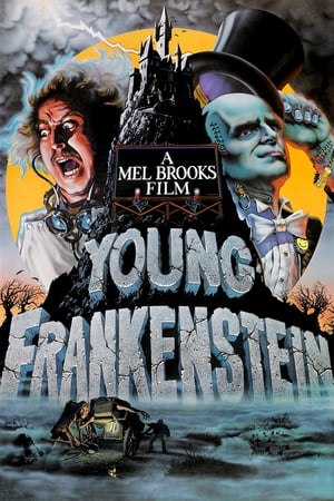 Young Frankenstein watch Young Frankenstein