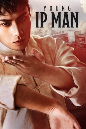 Young Ip Man: Crisis Time watch Young Ip Man: Crisis Time